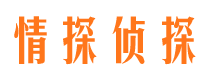 双江市侦探公司